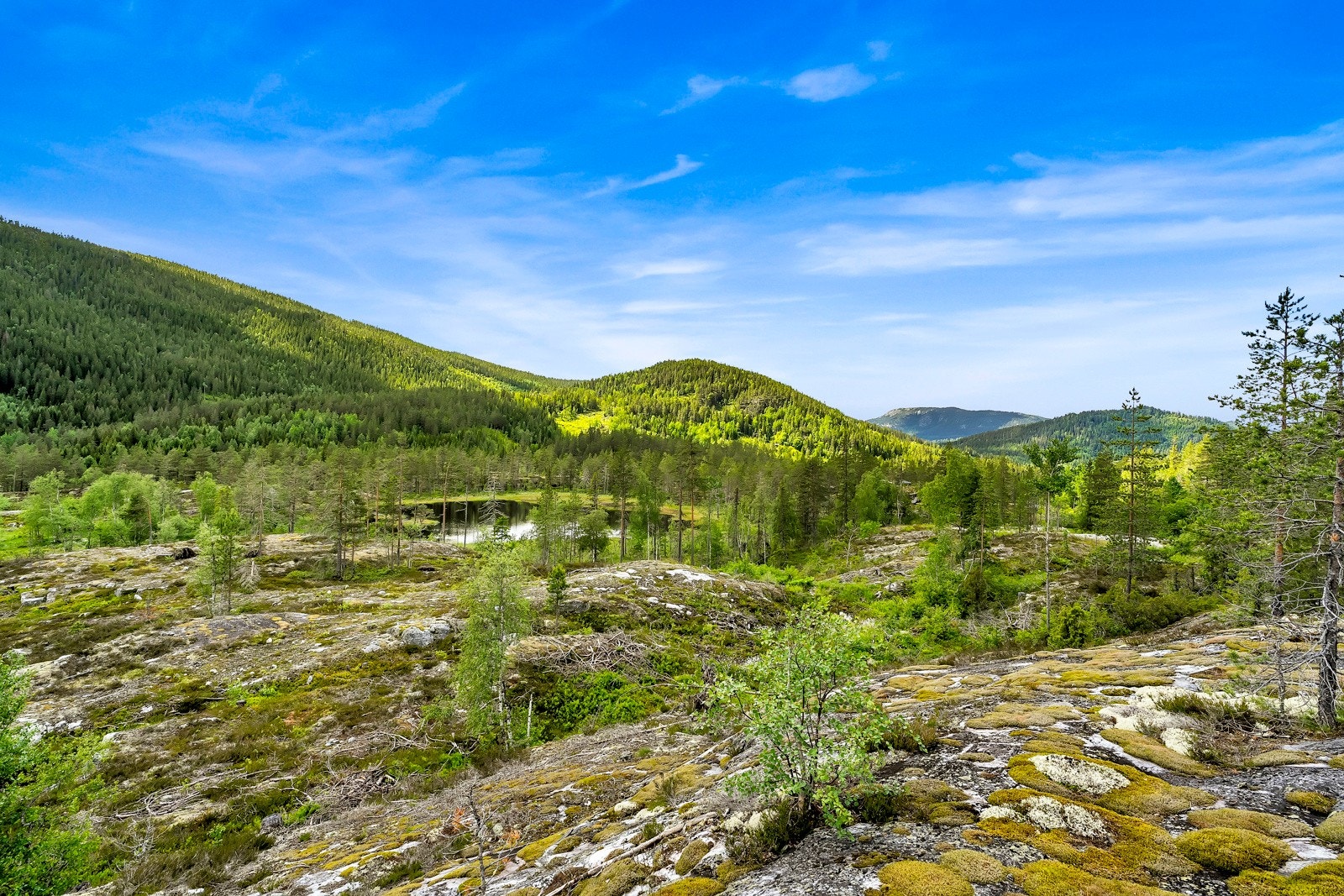 Oversiktsbilde av tomtene Galleribilde