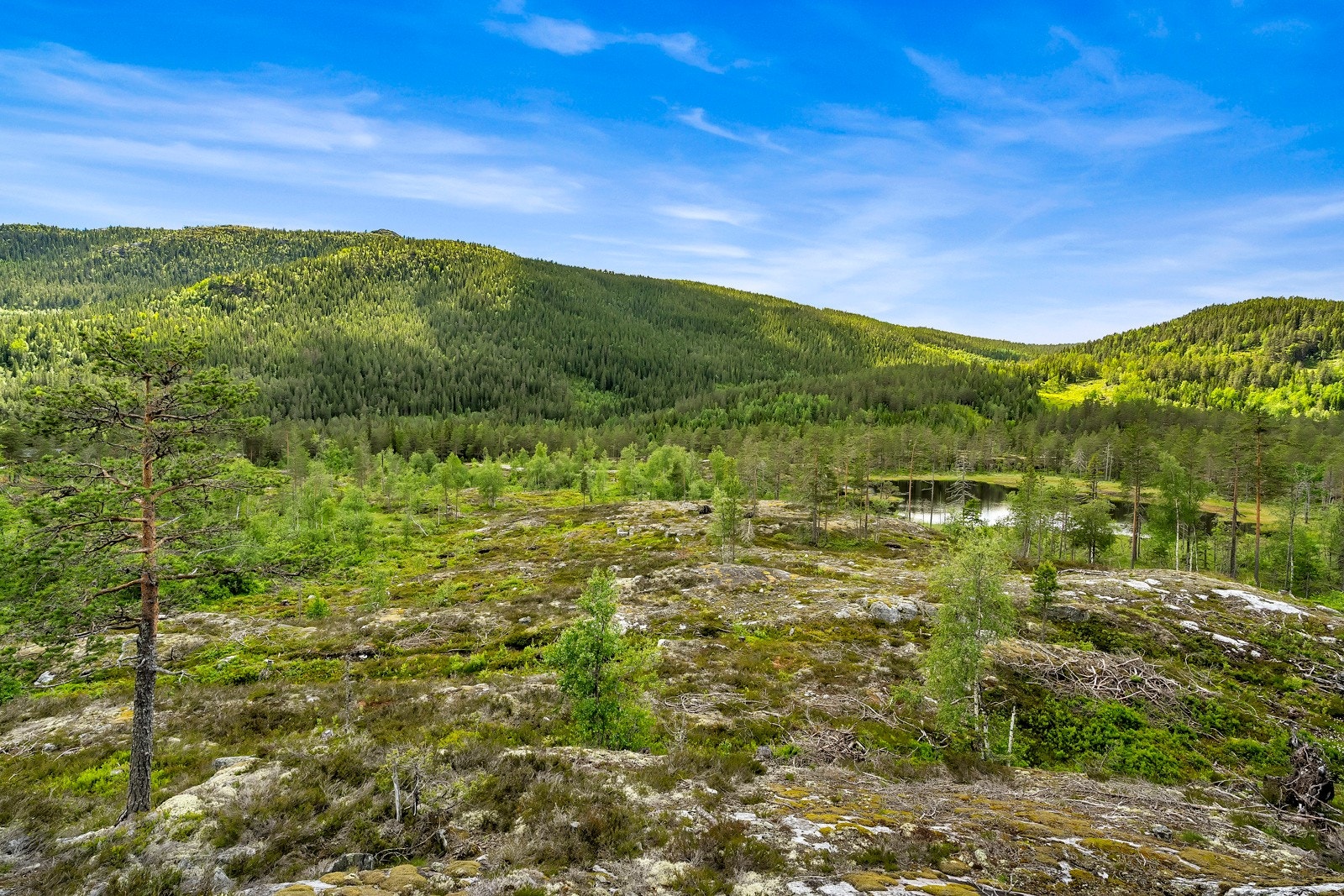 Oversiktsbilde av tomtene Galleribilde