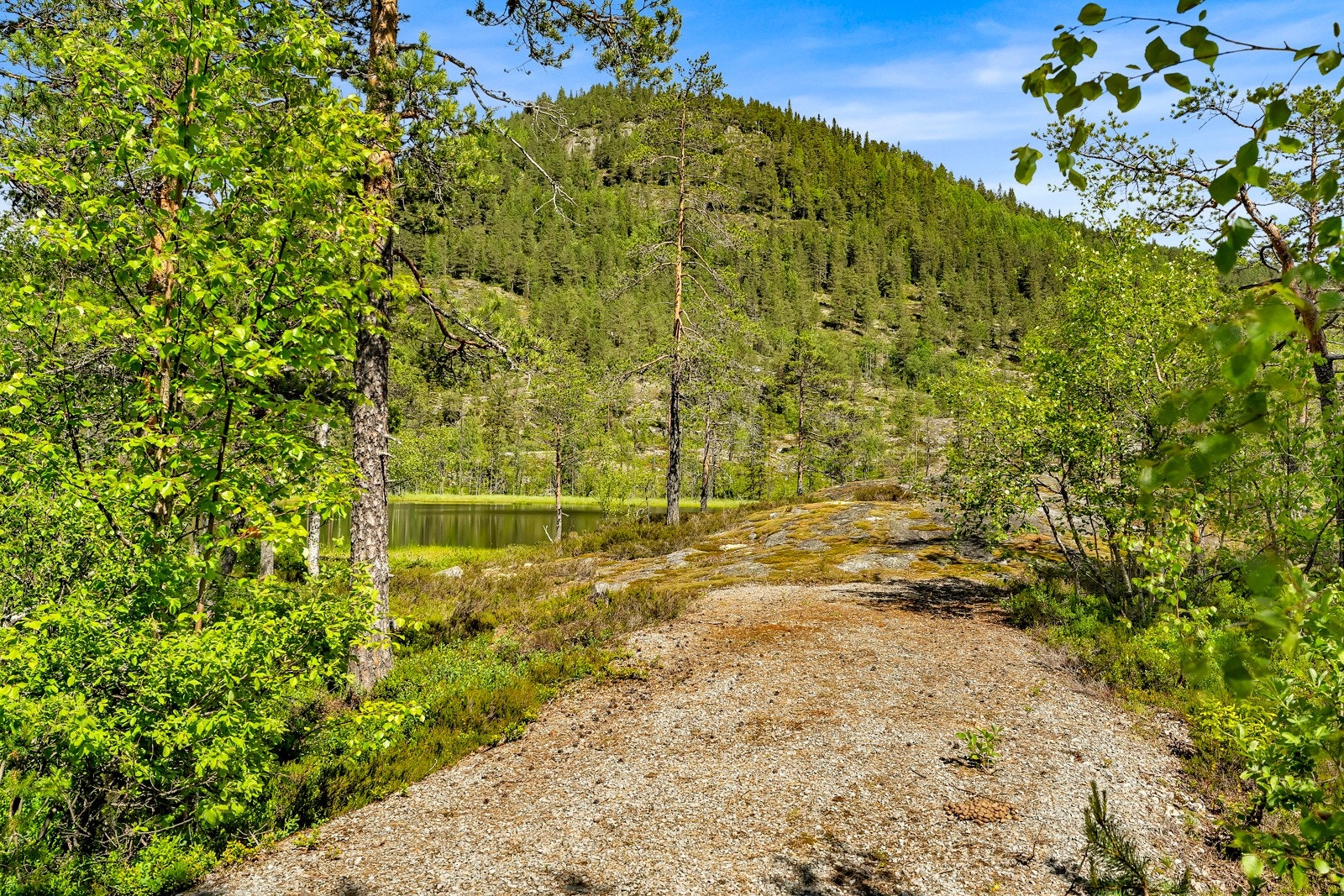 Det er allerede etablert internveier på feltet Galleribilde