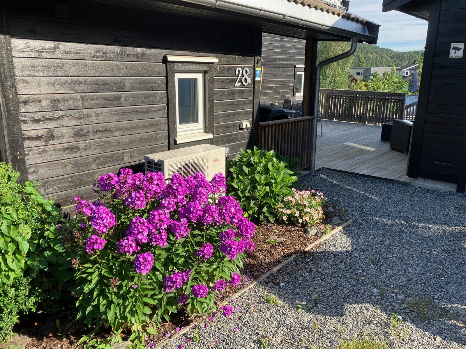 Selgers sommerbilde. Galleribilde