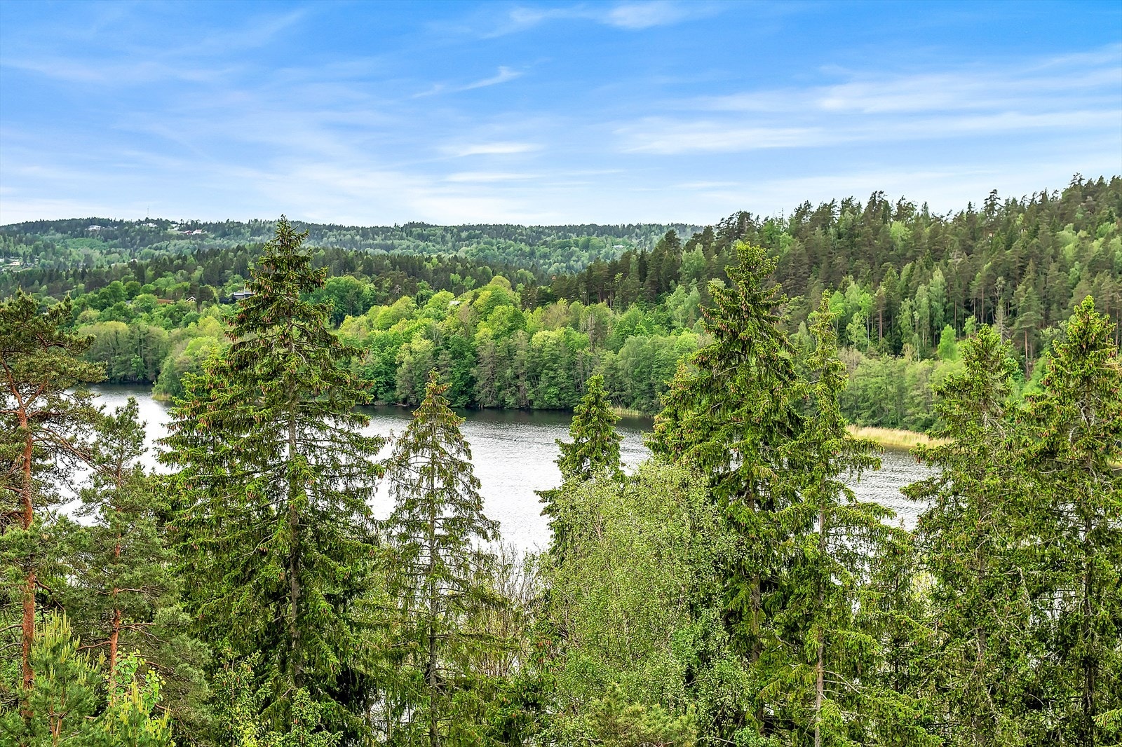 Utsikt fra balkongen. Galleribilde