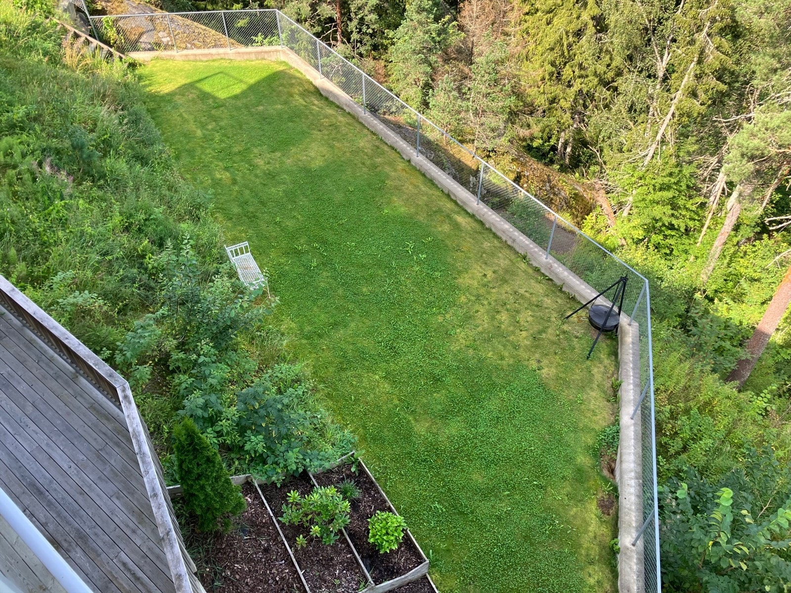 Selgers sommerbilde. Galleribilde