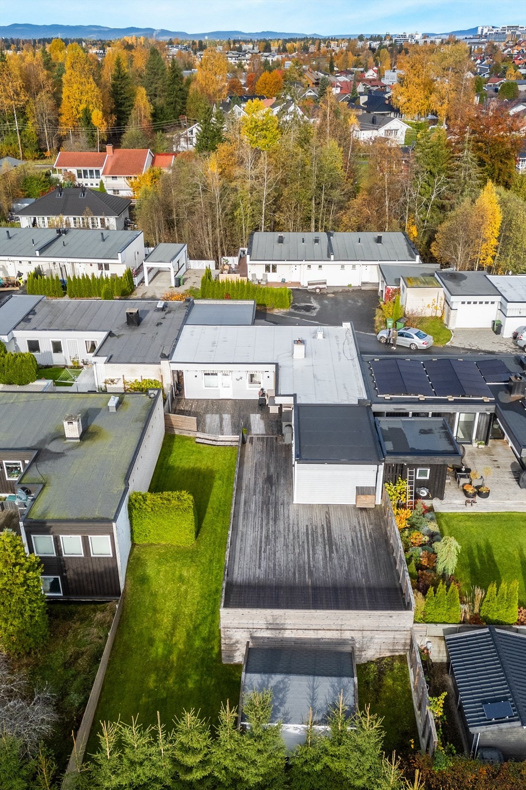 Her vil familien trives! Galleribilde