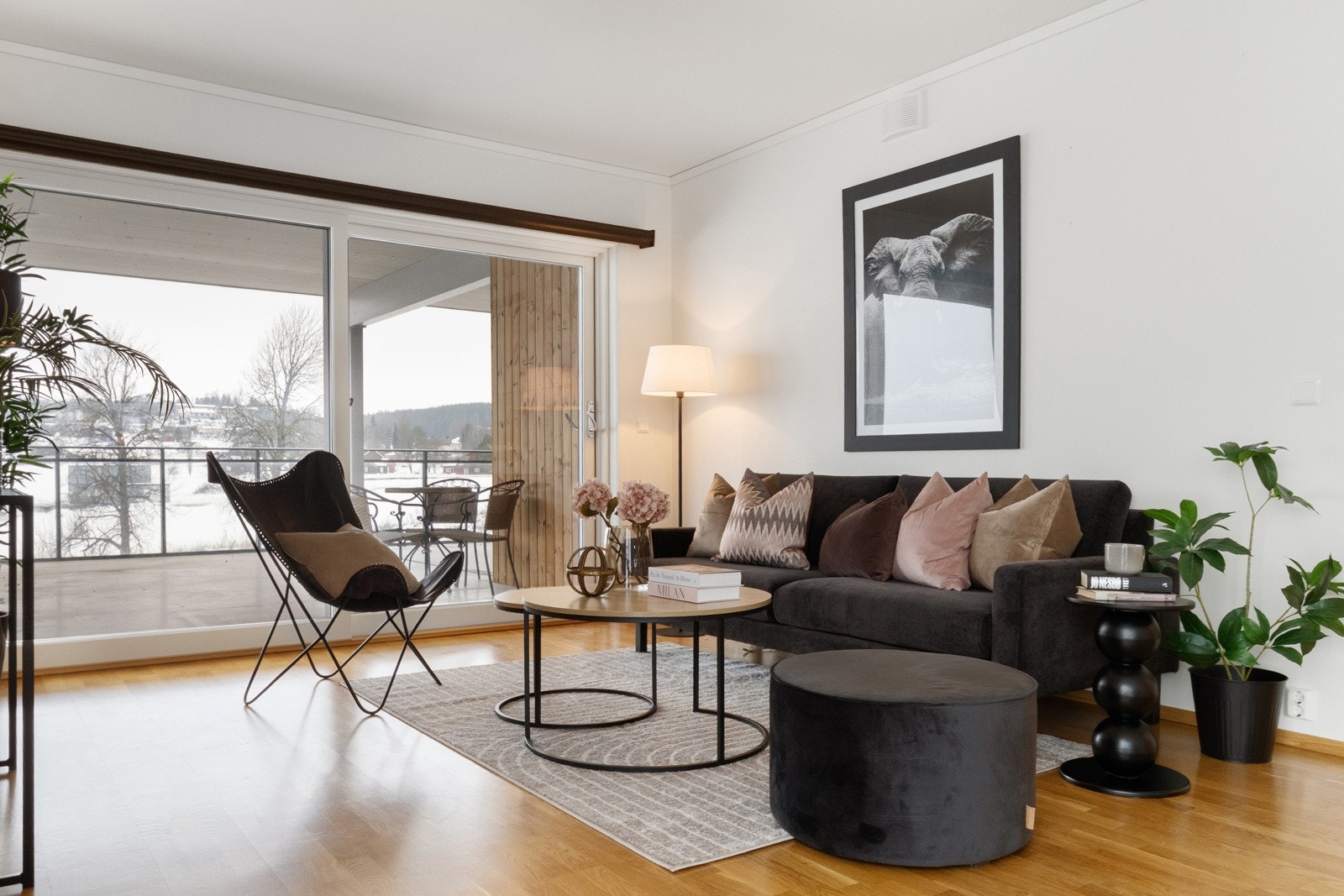 Velkommen til Skisporet 368! Foto: SKILDRE v/ Bjørnar Fjeldberg. Galleribilde