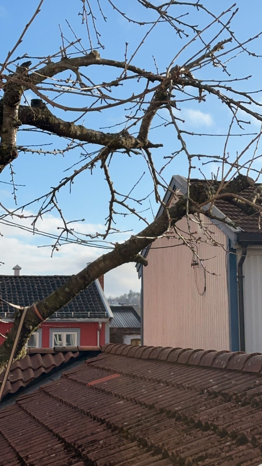 Selgers bilde. Herfra har du utsikt til trehusbebyggelser og Ekeberg-gløtt. Galleribilde