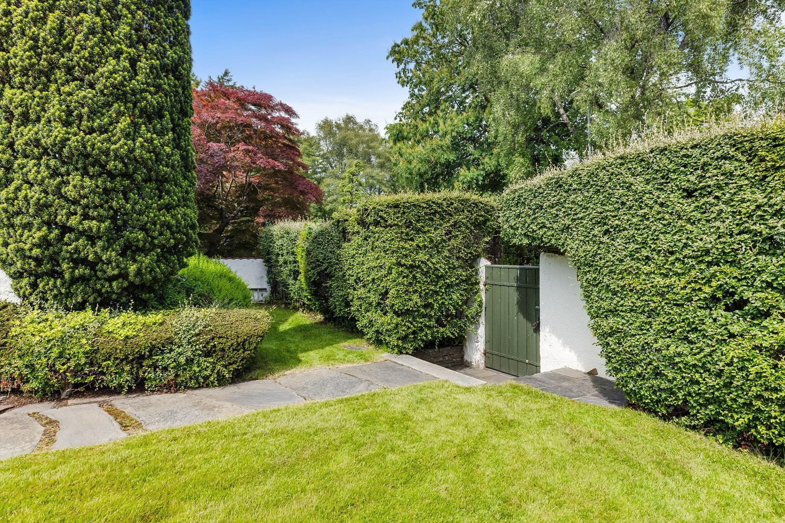 Den tette hekken gir effektiv skjerming mot vei og innsyn. Galleribilde