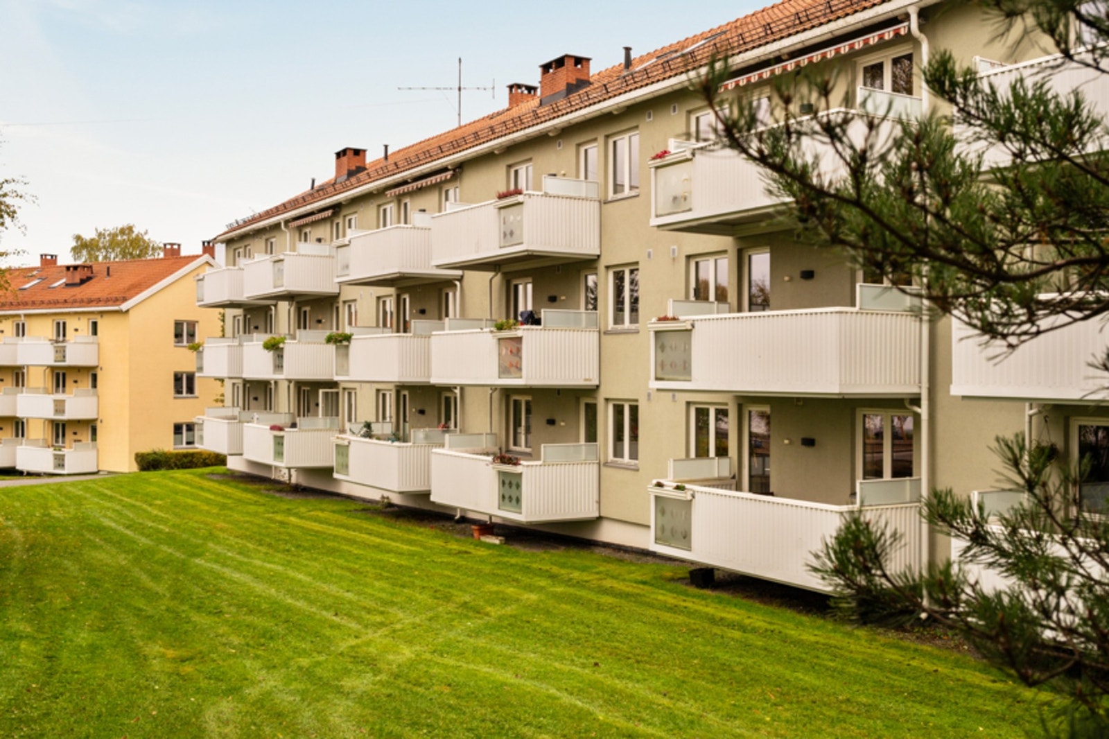 Frodig hageareal omkringliggende blokken. Galleribilde
