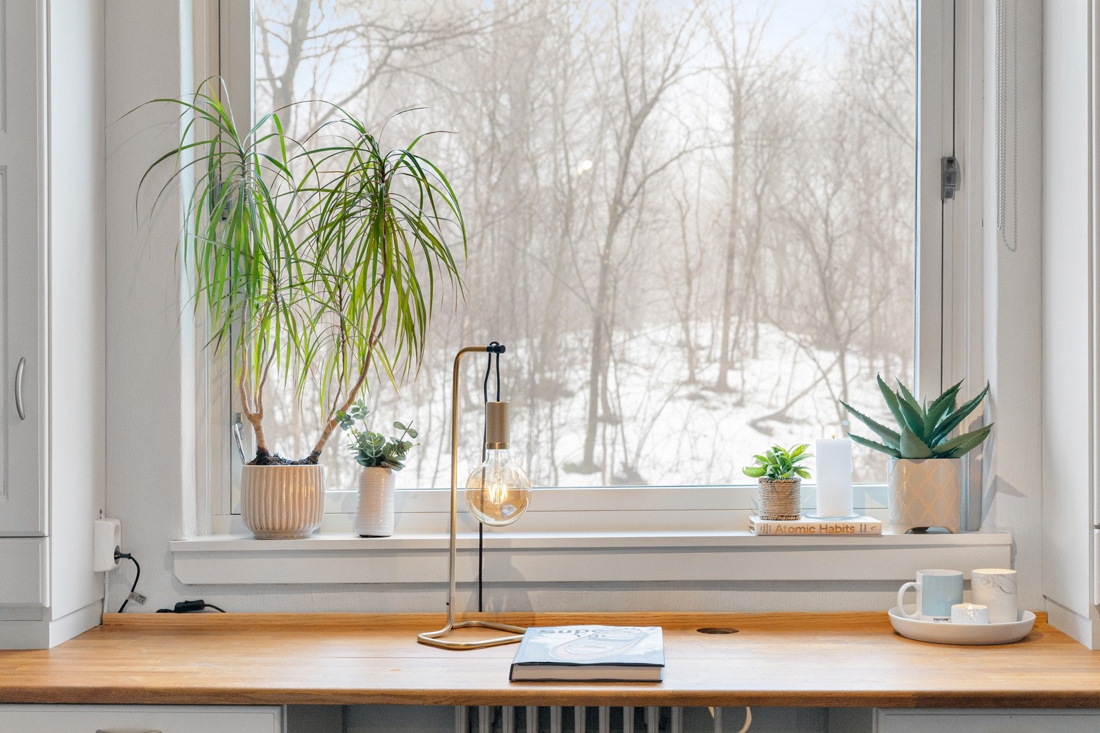 Et stort vindu gir rommet godt med naturlig lys. Galleribilde