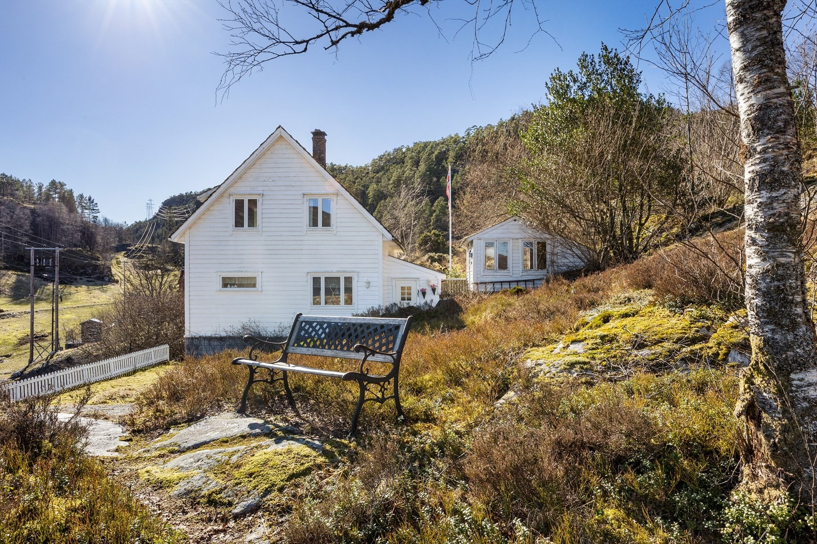 Pen og stor tomt som er opparbeidet med beplantning og flere uteområder. Galleribilde