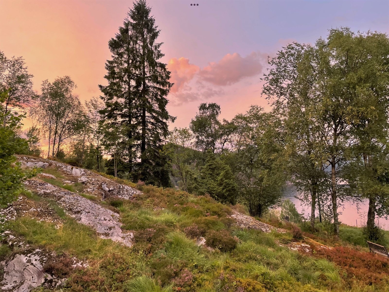 Padøy er vakker! Galleribilde
