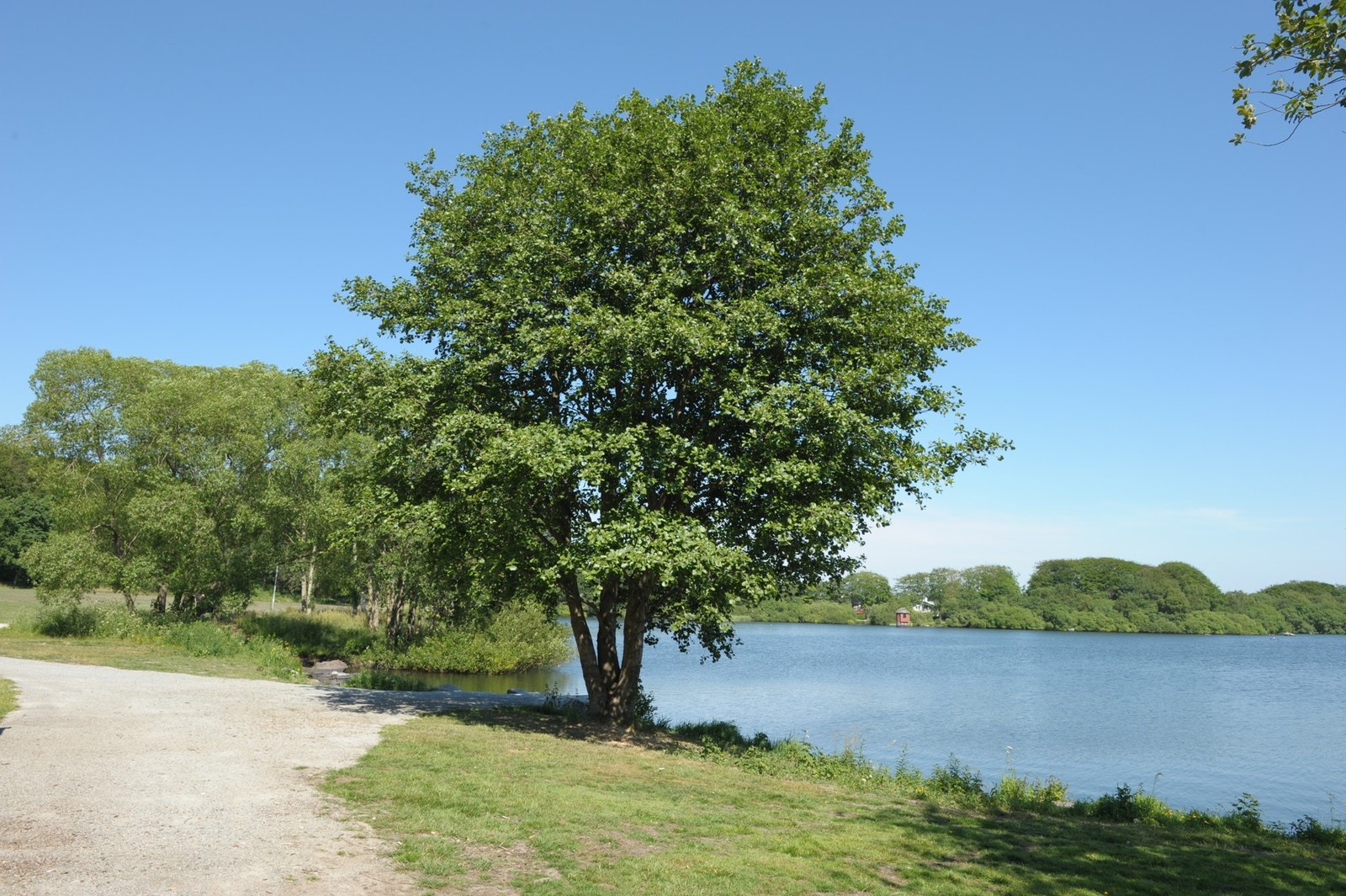 Kjekk beliggenhet med nærhet til det meste. Mosvatnet og Gamlingen finner du like ved. Galleribilde