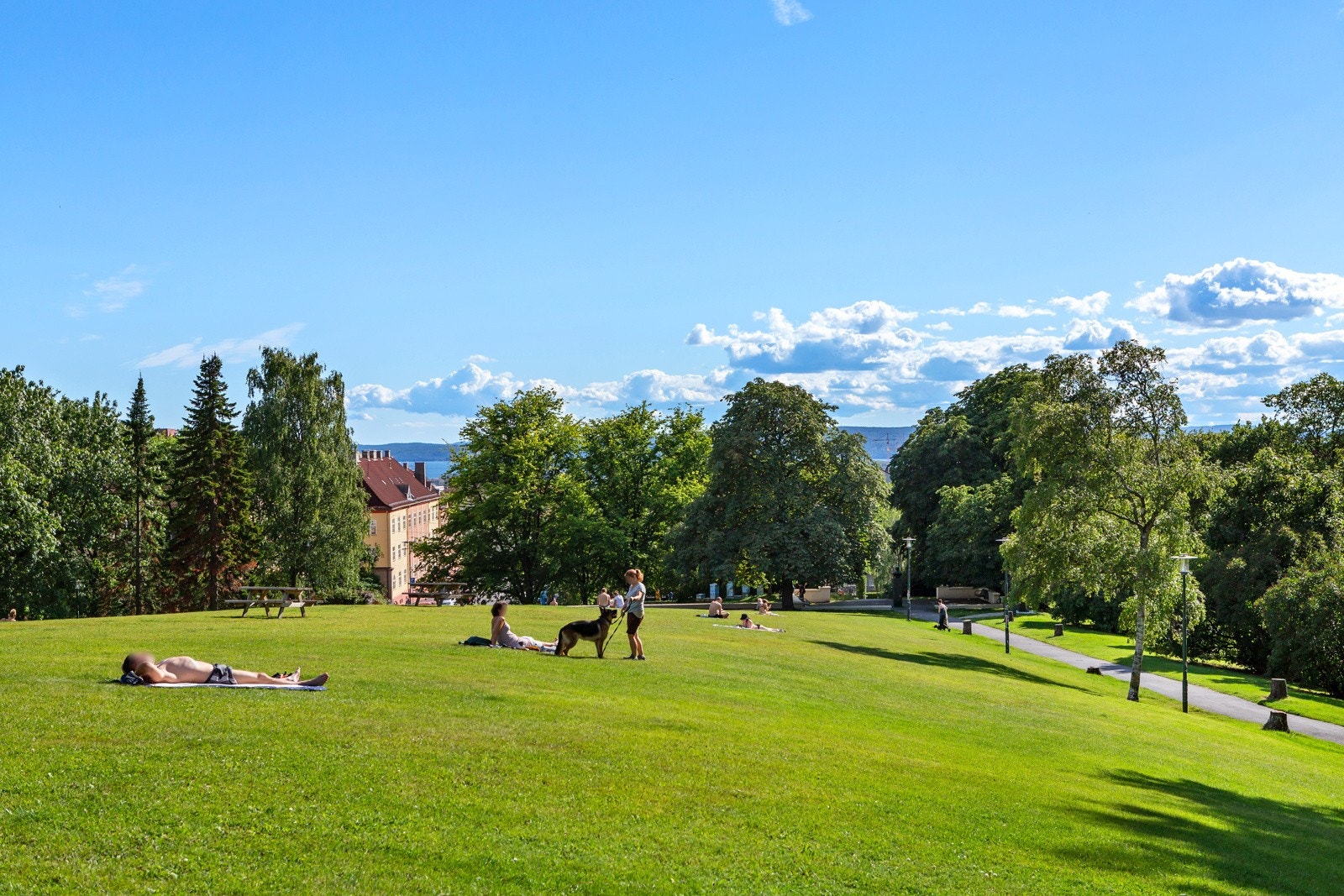 Torshovparken - romslig og luftig grøntområde med gode rekreasjonsmuligheter. Galleribilde
