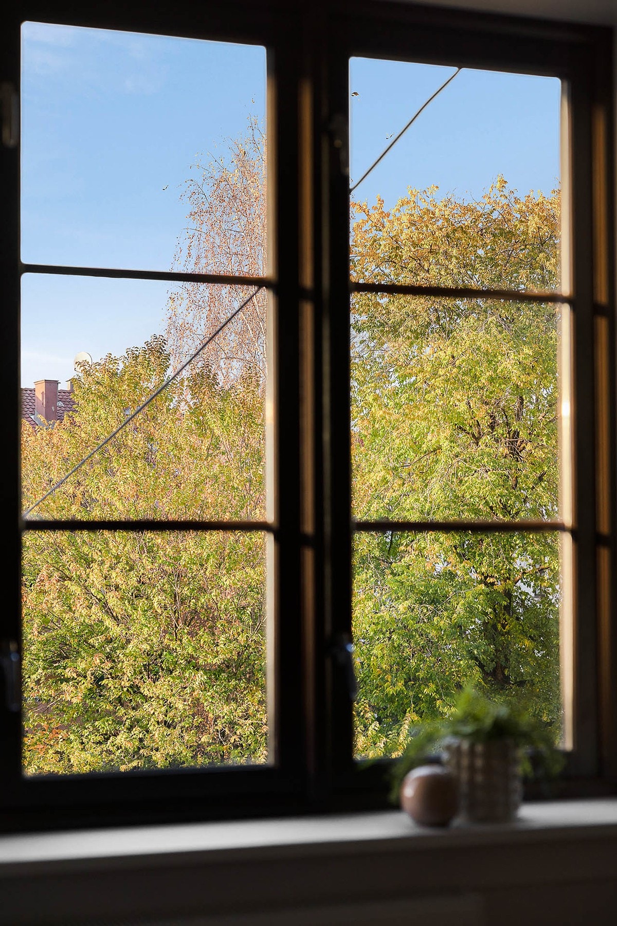 Utsyn til grønne og frodige omgivelser Galleribilde