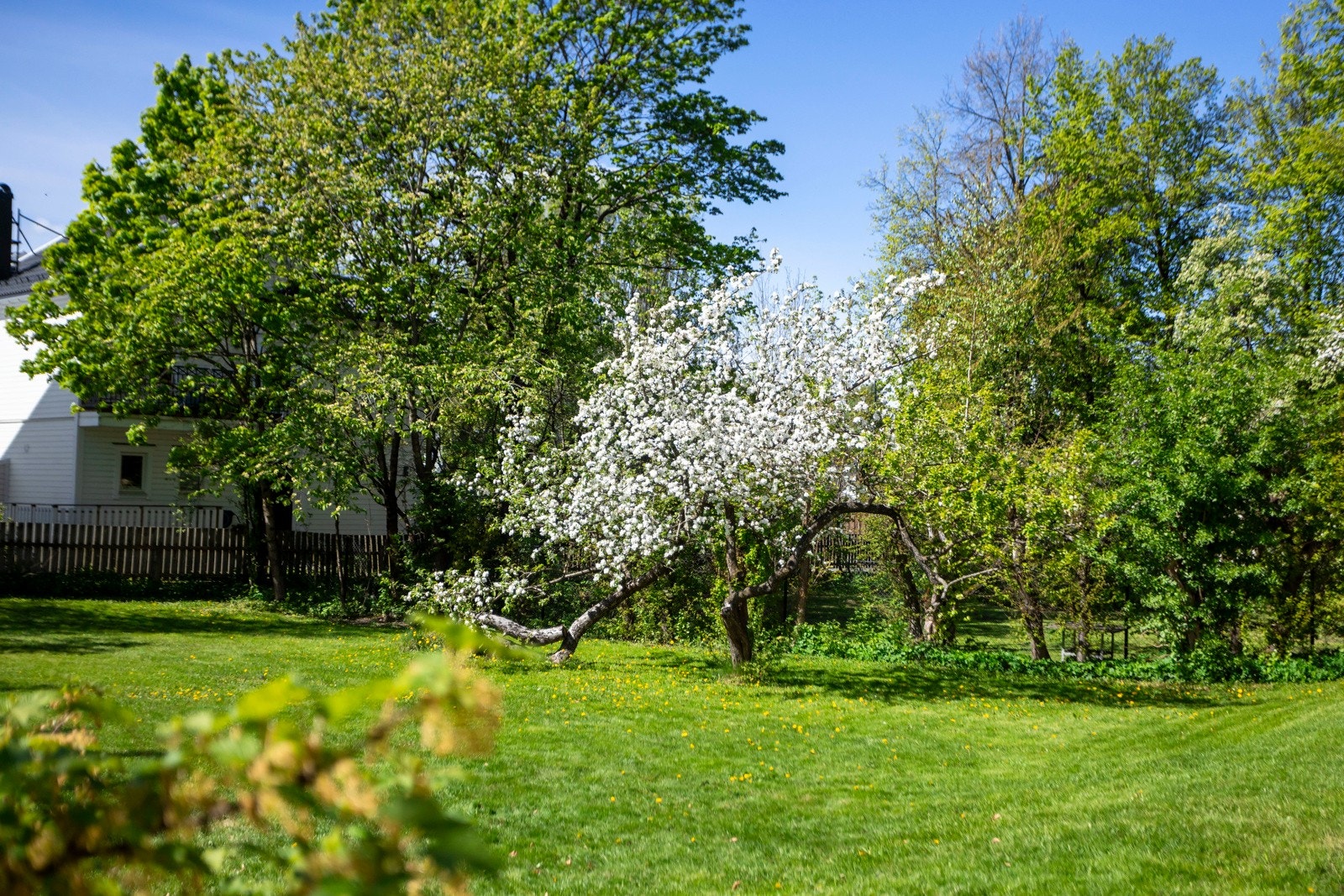Den nydelige hagen er pent opparbeidet. Galleribilde