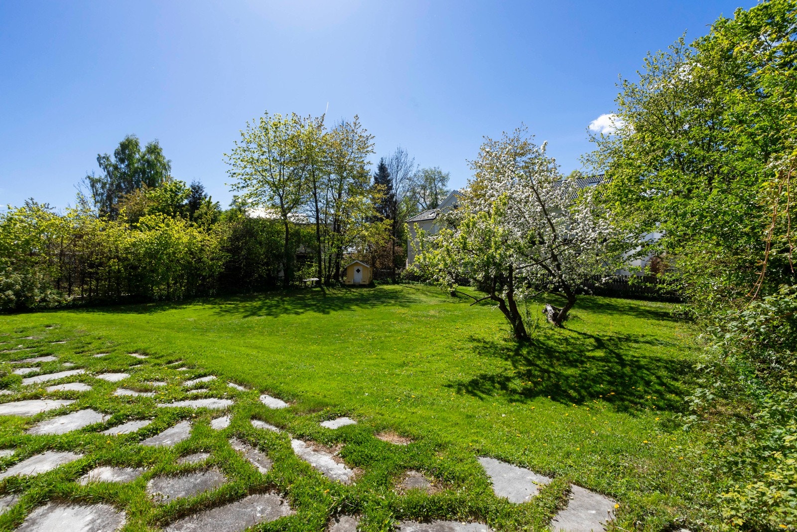 Det er meget gode solforhold på tomten. Galleribilde