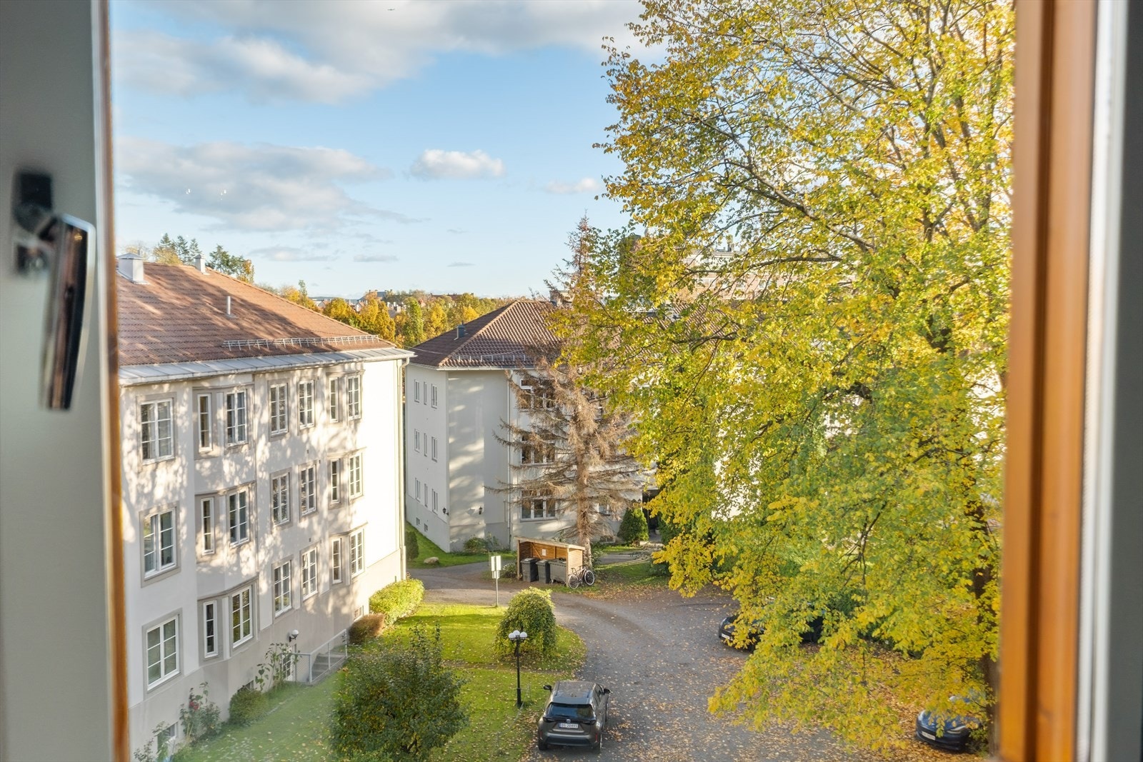 Frodig utsyn fra soveromsvindu. Galleribilde