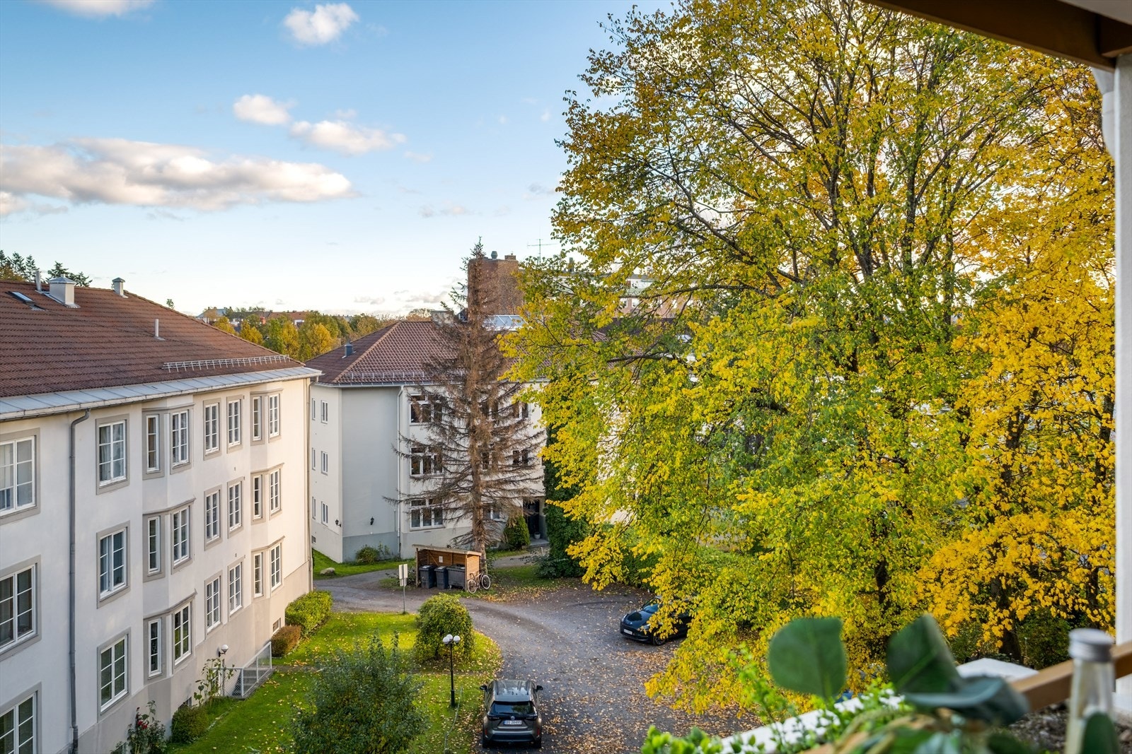Frodig utsyn fra balkongen. Galleribilde