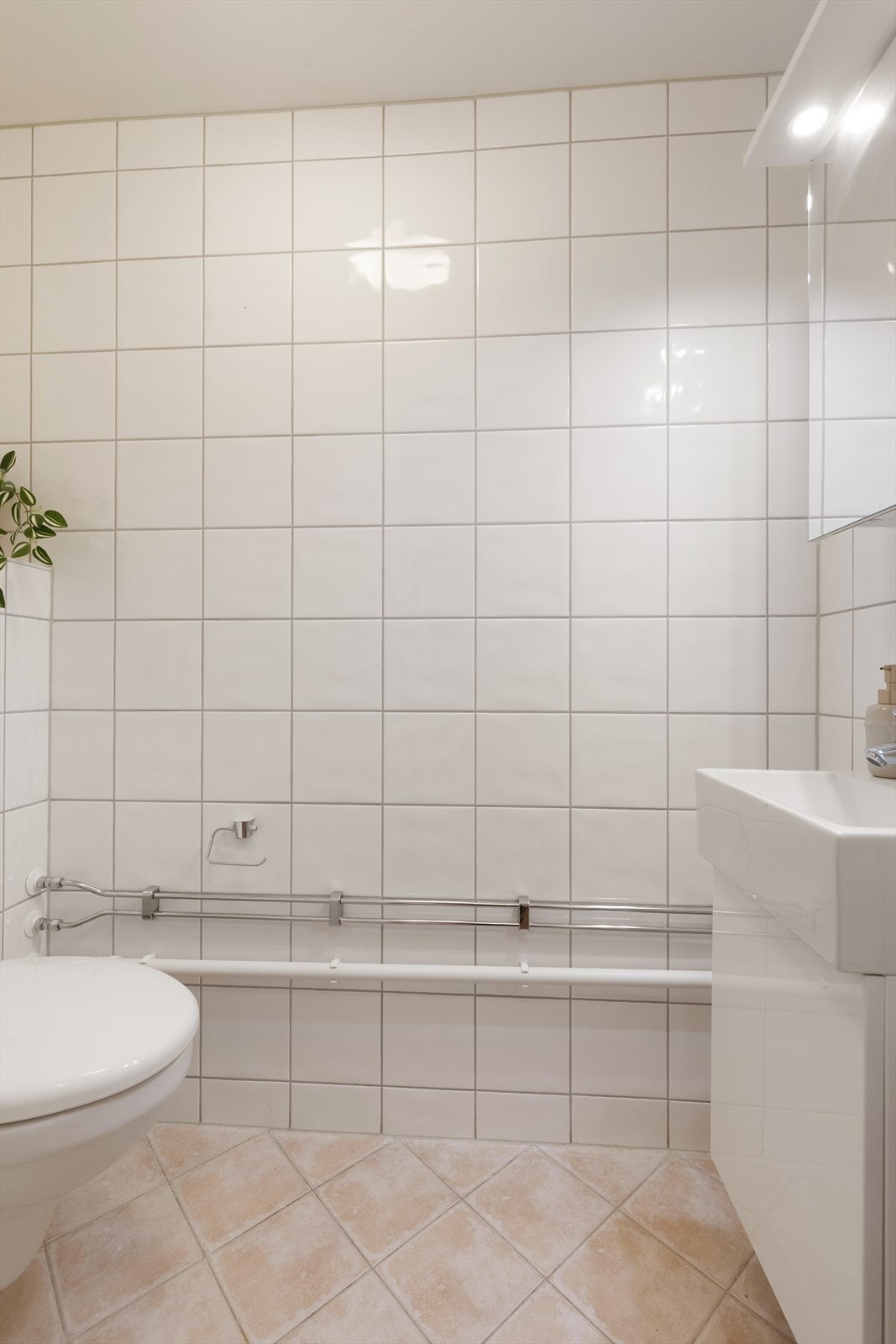 Separat toalettrom Galleribilde