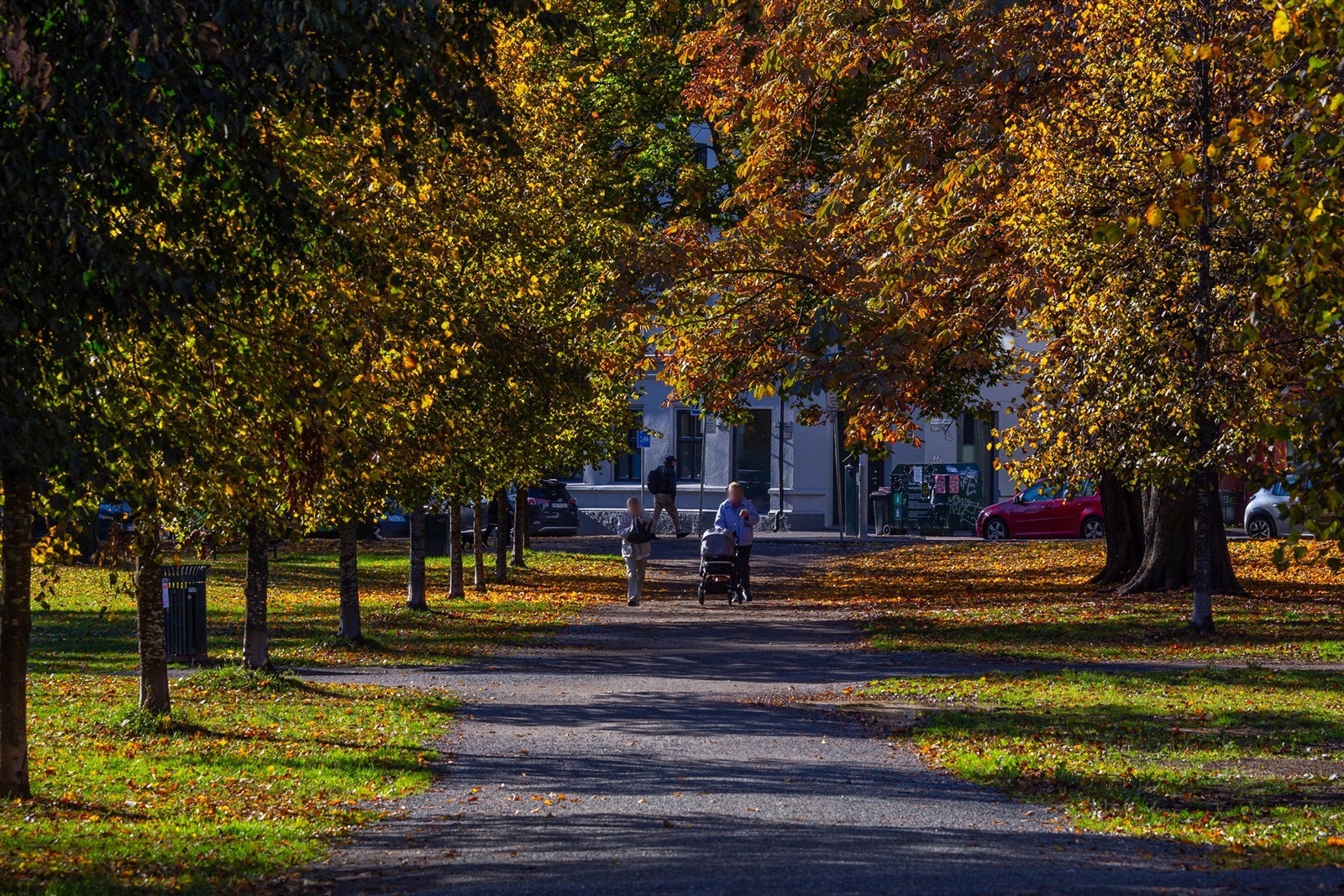 Her har man også Sofienbergparken like i nærheten. Galleribilde