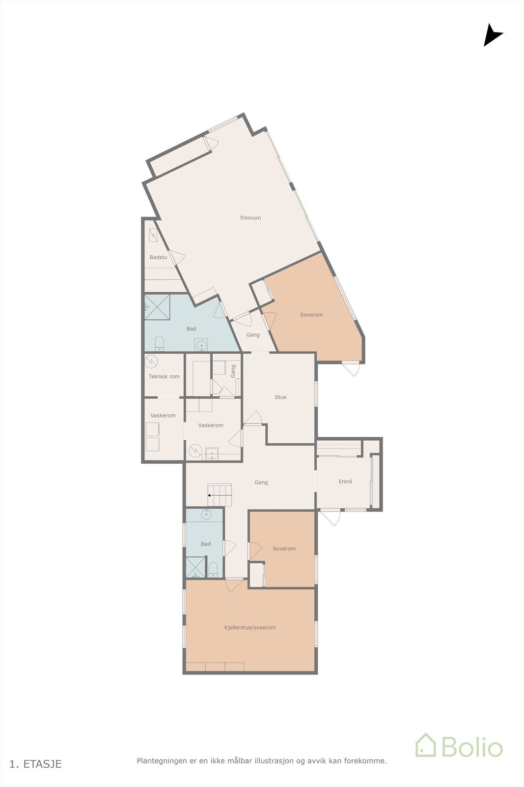 Plantegning Galleribilde