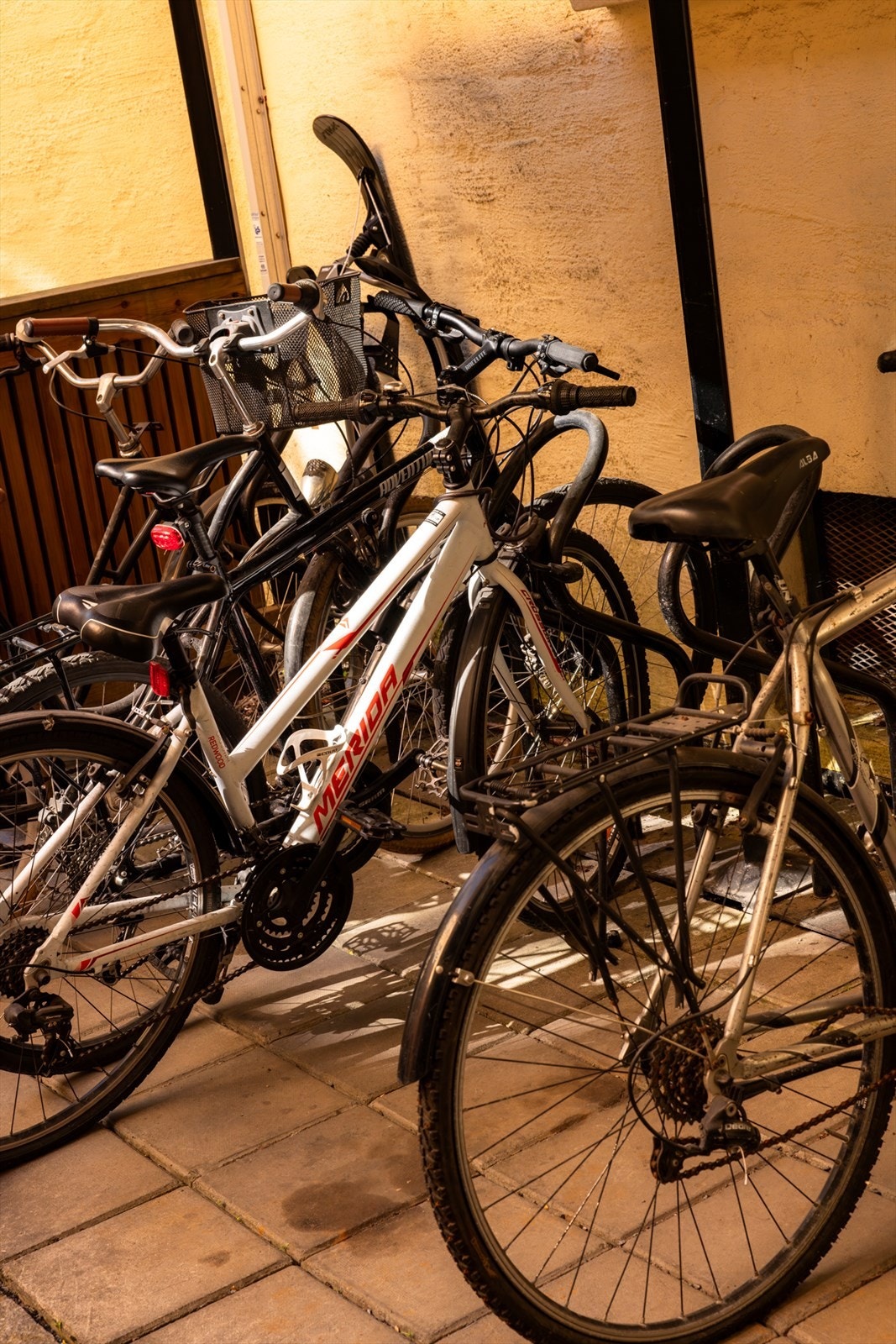 Sykkelparkering er tilgjengelig i bakgården. Galleribilde