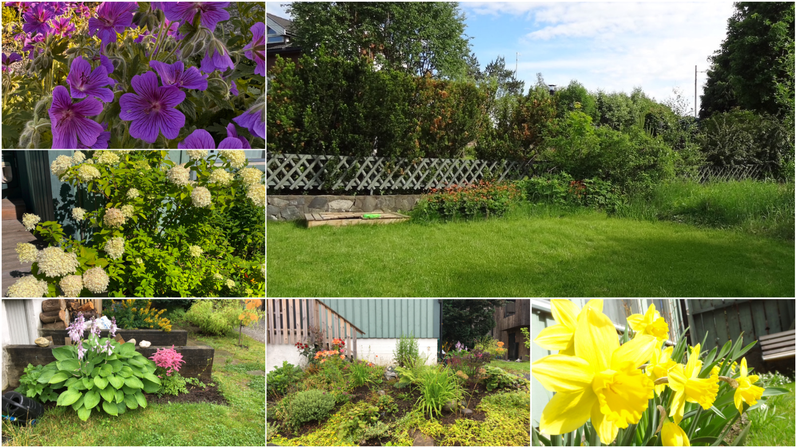 På sommerstid er hagen et herlig fristed - Selgers bilder Galleribilde