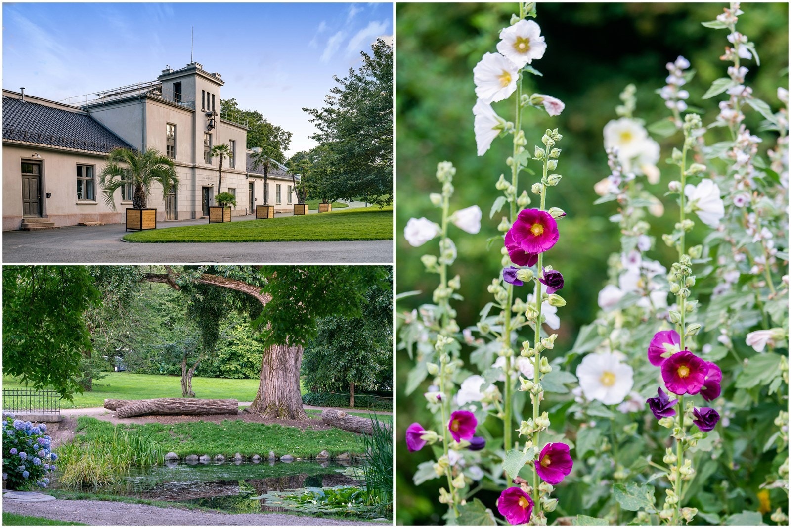 Botanisk Hage Galleribilde