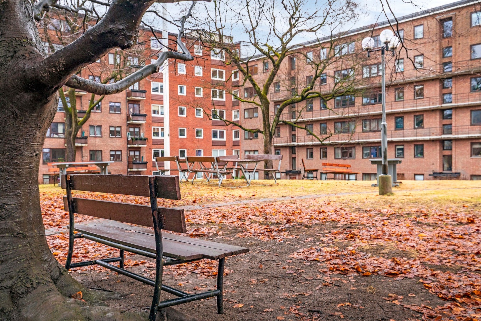 Balkebyparken er godt vedlikeholdt av hagegruppa. Galleribilde