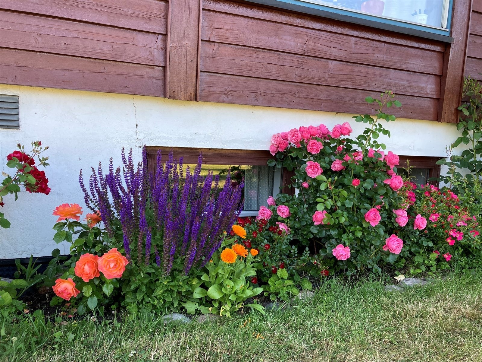 Selger private sommerbilde. Galleribilde