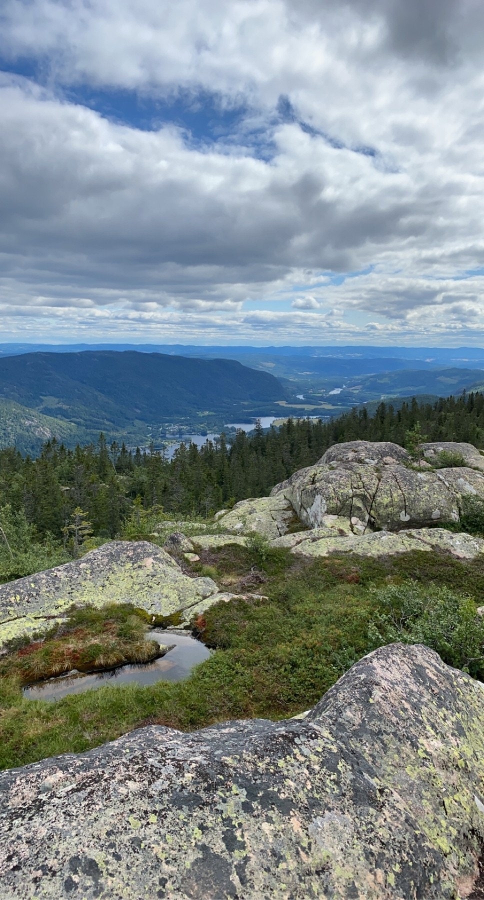 Vikerfjell er fantastisk til alle årstider. Galleribilde