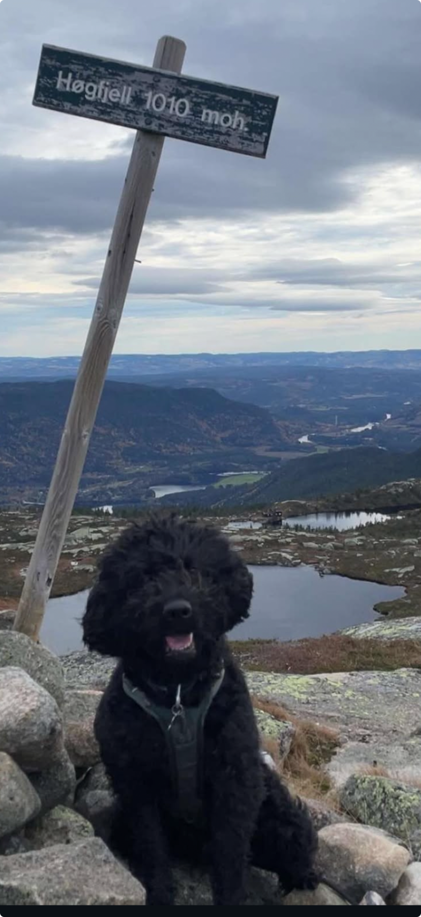 Høgfjell ligger på over 1000 meter og er et yndet turistmål. Galleribilde
