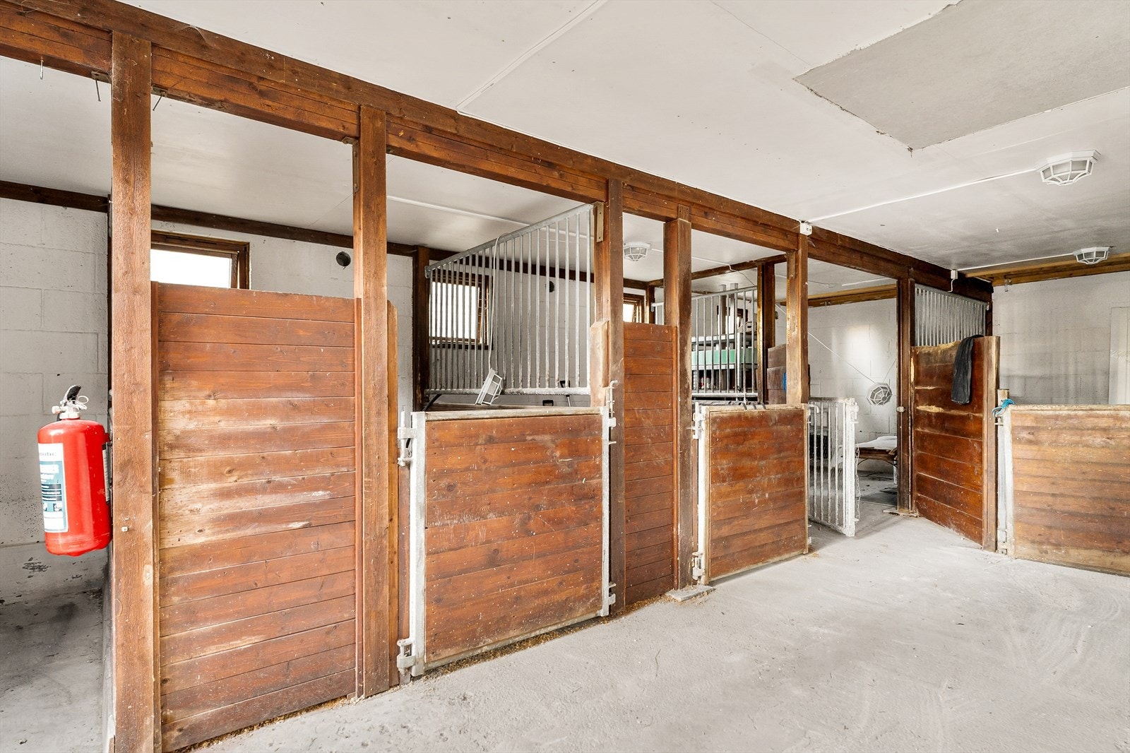 _DSC7241.jpg Galleribilde