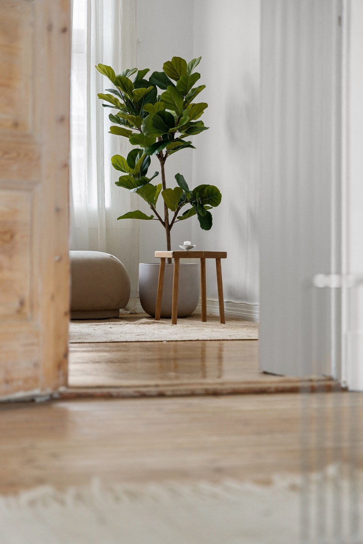 Det er lekre, originale tregulv i boligen. Galleribilde