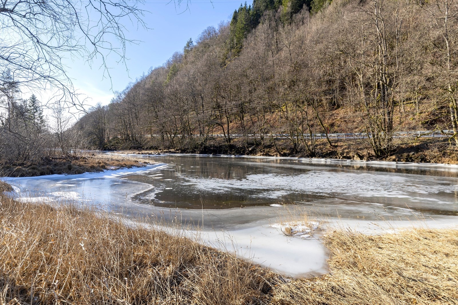Fin natur rett utenfor døren Galleribilde
