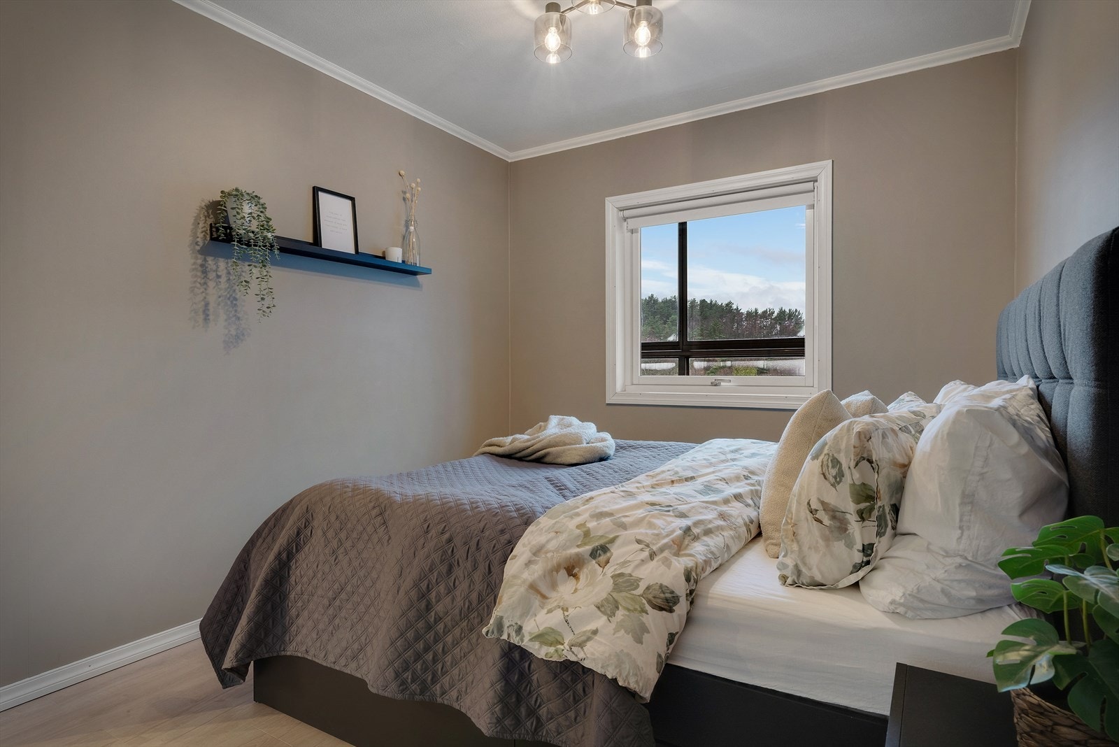 - Merk at vegger er malt i en delikat fargetone, noe som gir et lunt og harmonisk uttrykk - Galleribilde