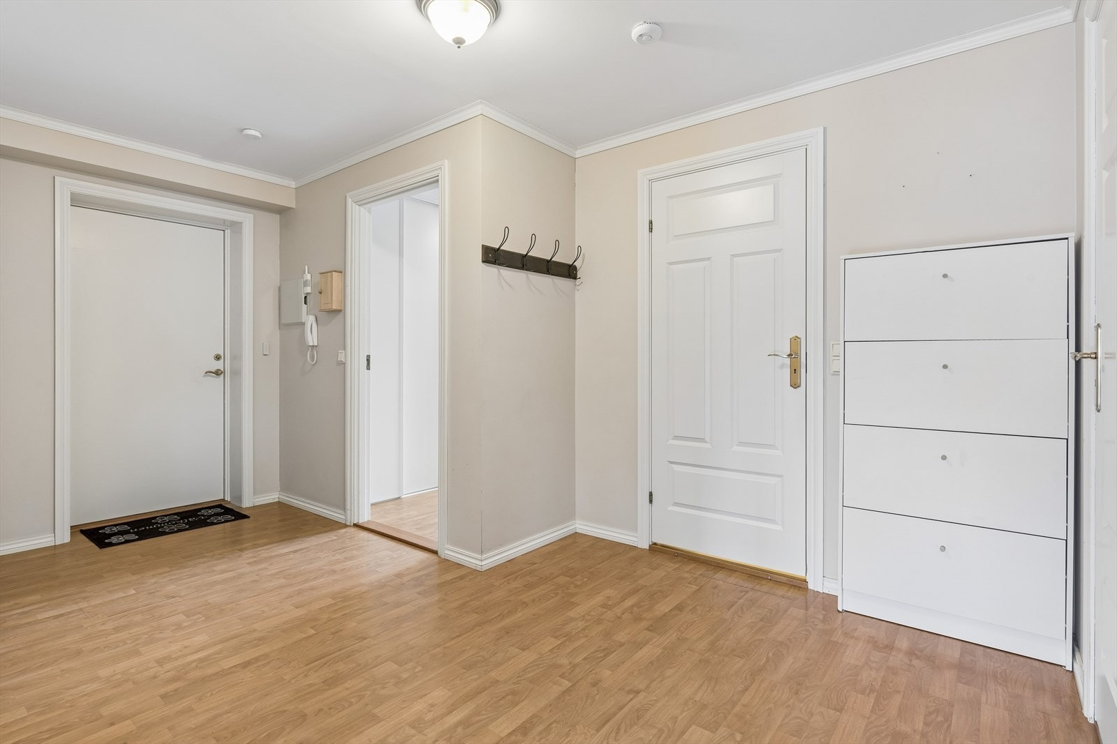 Gangen gir tilgang til en intern bod for praktisk oppbevaring. Galleribilde