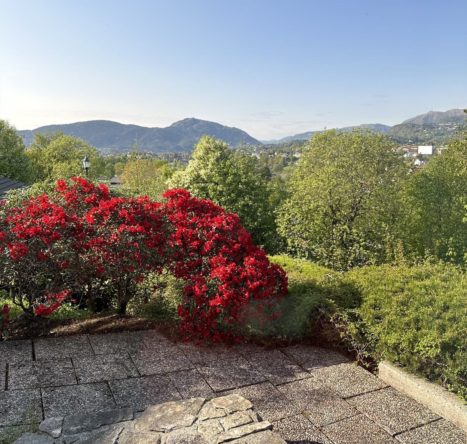 Bilde tatt av selger - utsikt fra kjellerstue. Galleribilde