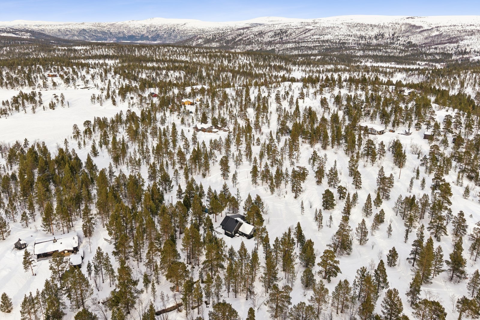 En mengde friluftsmuligheter rett utenfor døra, med både preparerte skiløyper og scooterspor langs løypenettet. Galleribilde