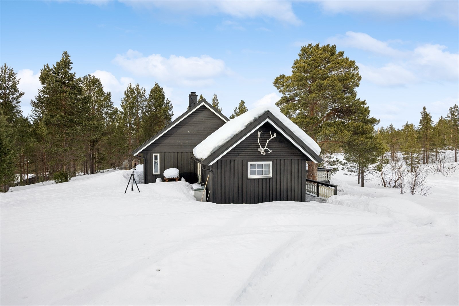 En skjermet beliggenhet i naturskjønne Bollo, med fantastiske tur-, fiske- og jaktmuligheter rett utenfor døren. Galleribilde