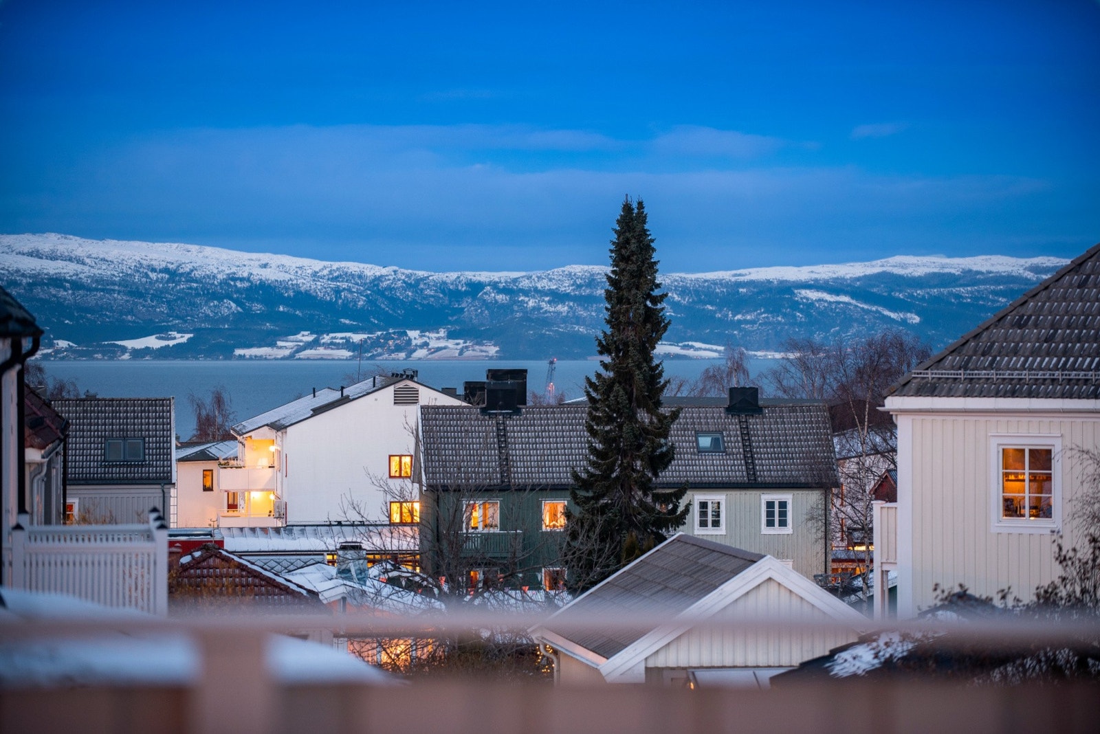 Utsikt. Galleribilde