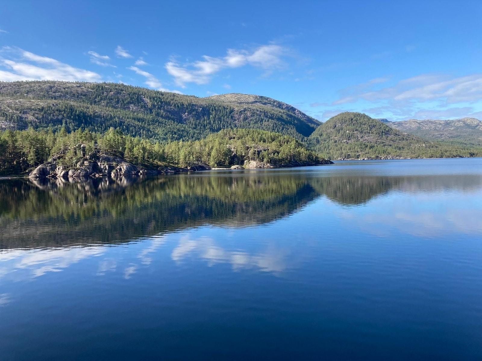 Selger egne bilder. Galleribilde