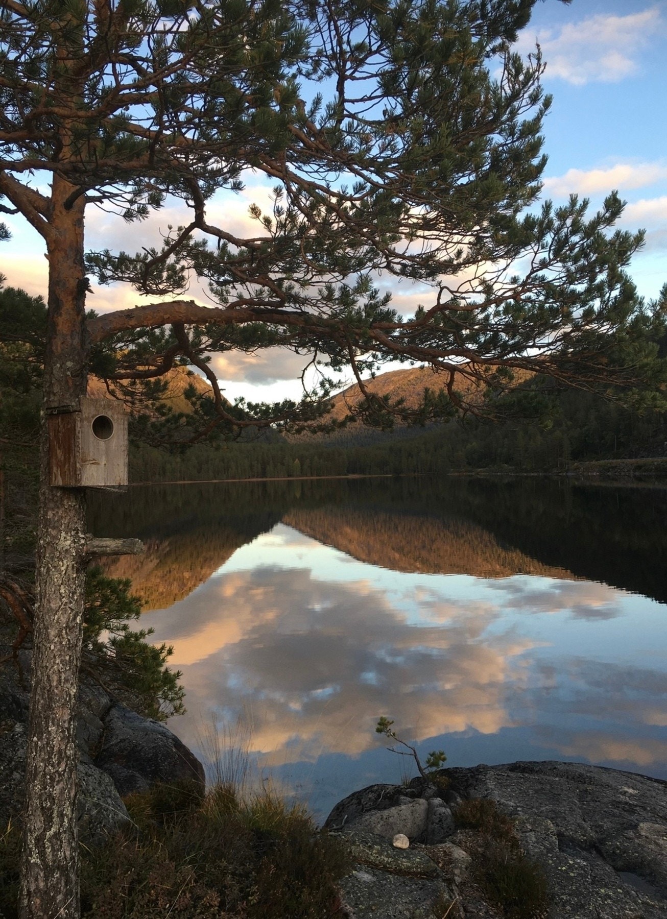 Selger egne bilder. Galleribilde