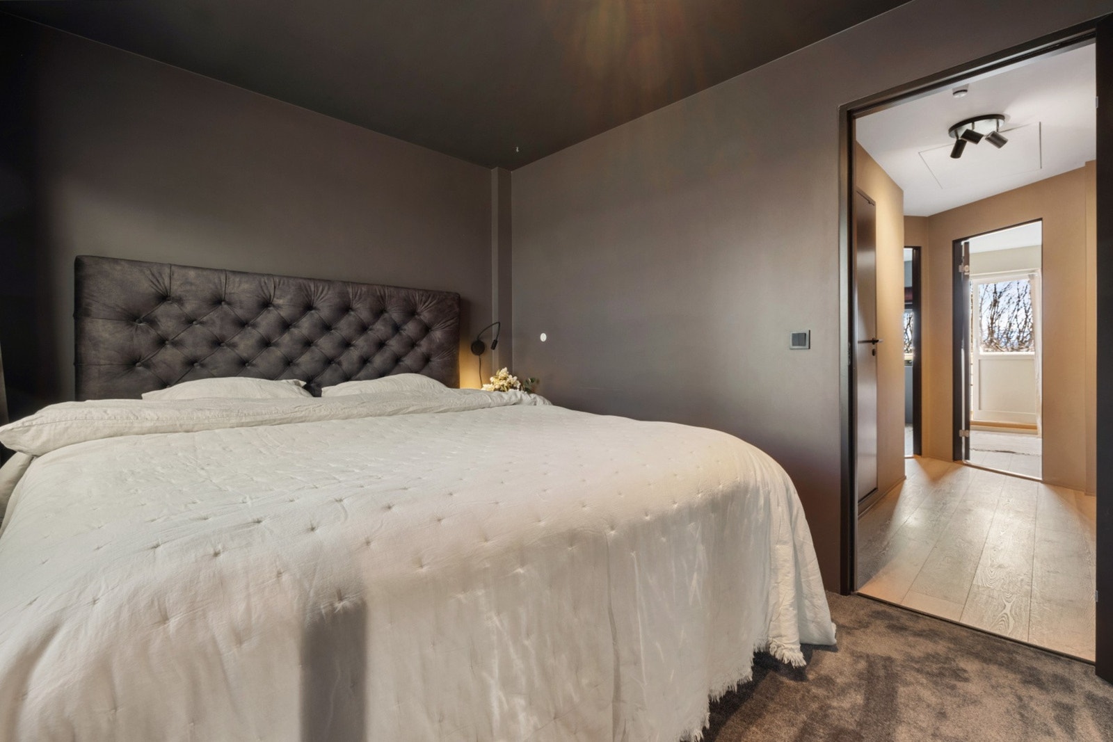 Hovedsoveorm i lune moderne fargevalg Galleribilde