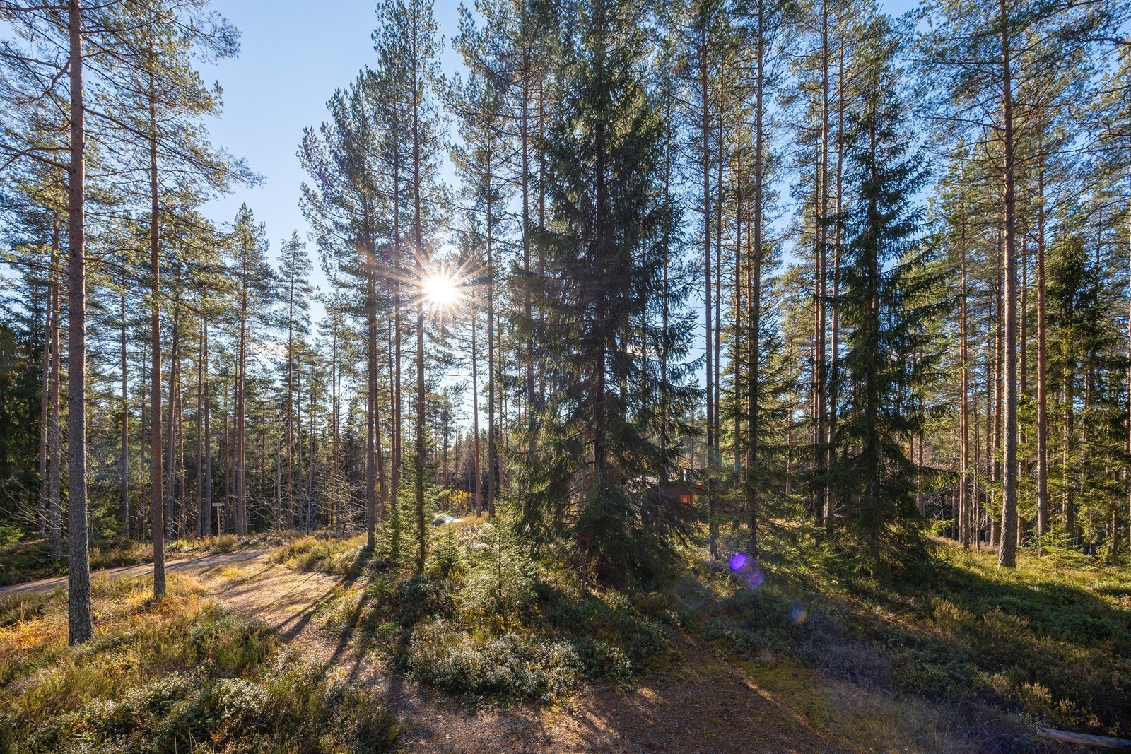 Rundt hytta er det tilgang på flotte tur- og rekreasjonsmuligheter i umiddelbar nærhet. På vinteren er det oppkjørt lysløype og skiløyper mot Tyrihjellen og Langfoss. Galleribilde