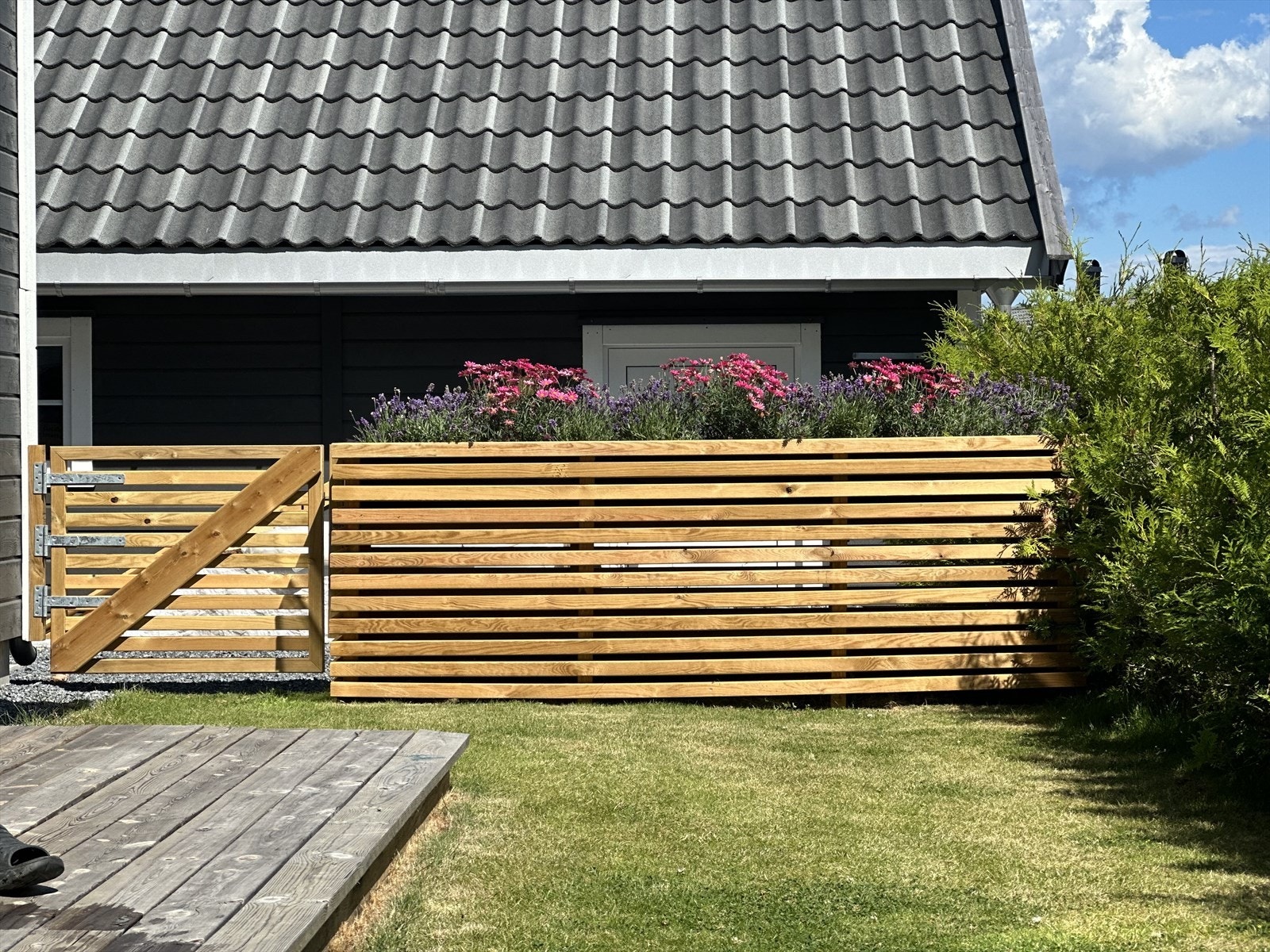 Selgers bilde- sommer. Galleribilde