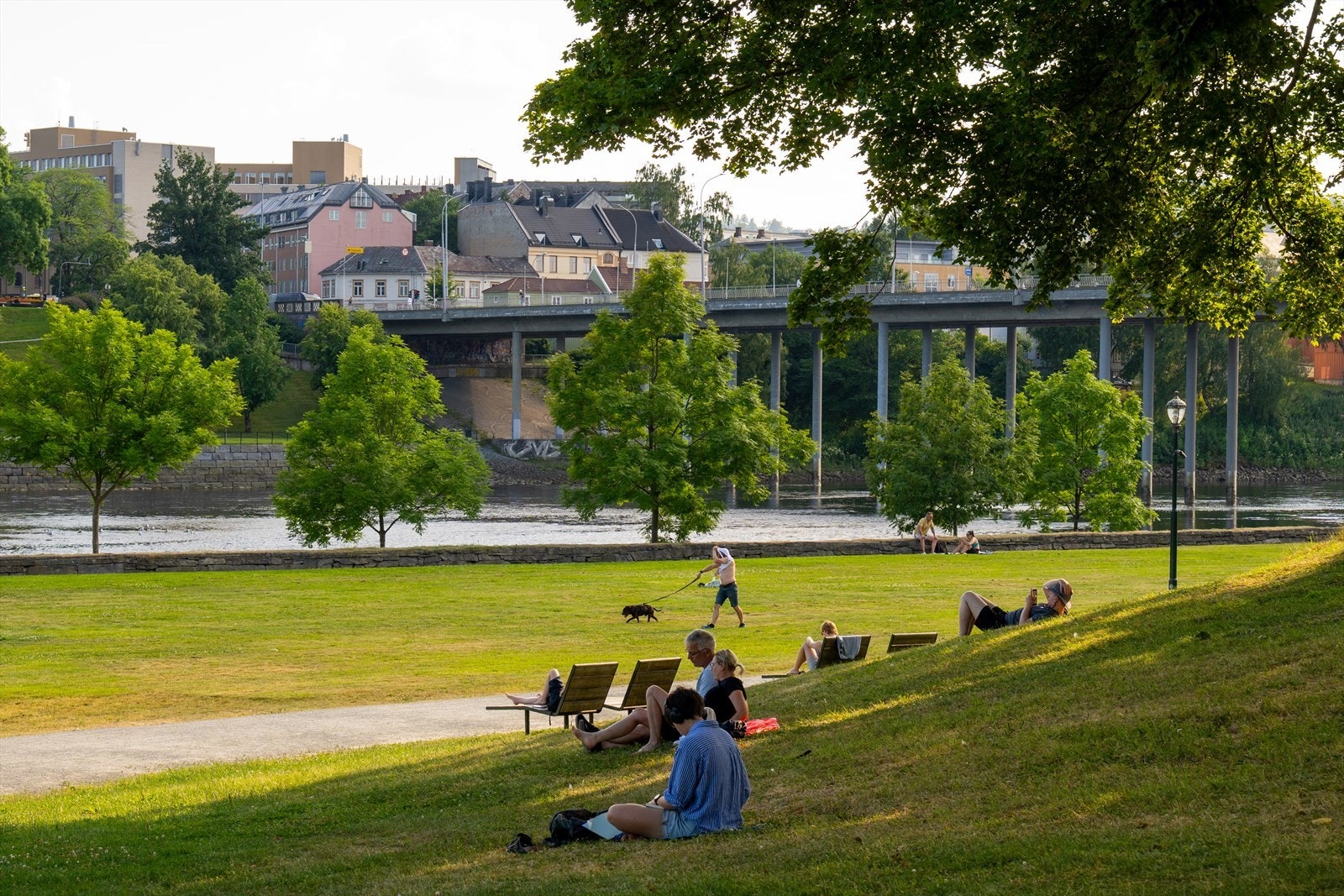 Man har flere turmuligheter rundt om i byen og langs Nidelven. Galleribilde