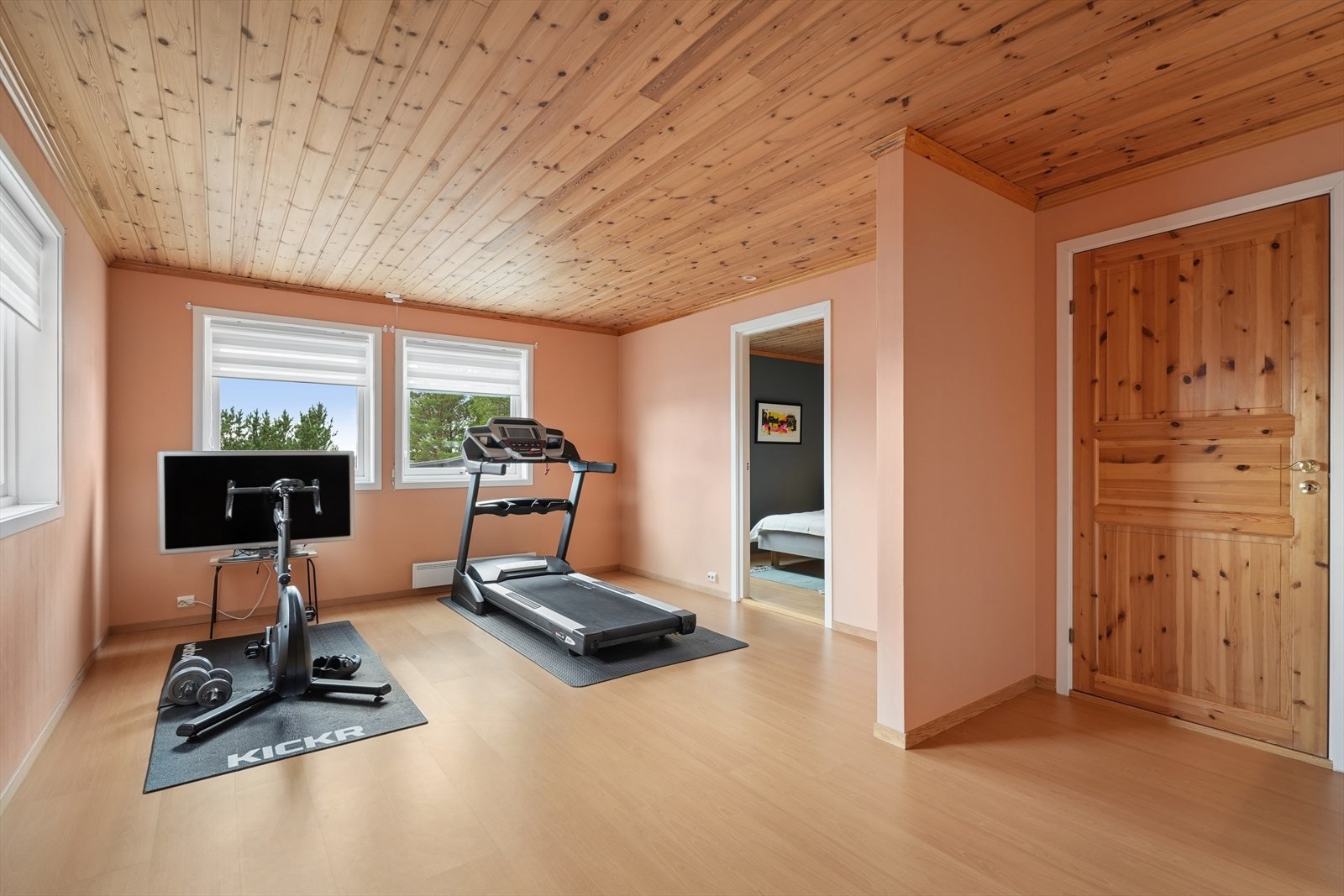 Fleksibelt rom i underetasjen, i dag benyttet som treningsrom. Galleribilde