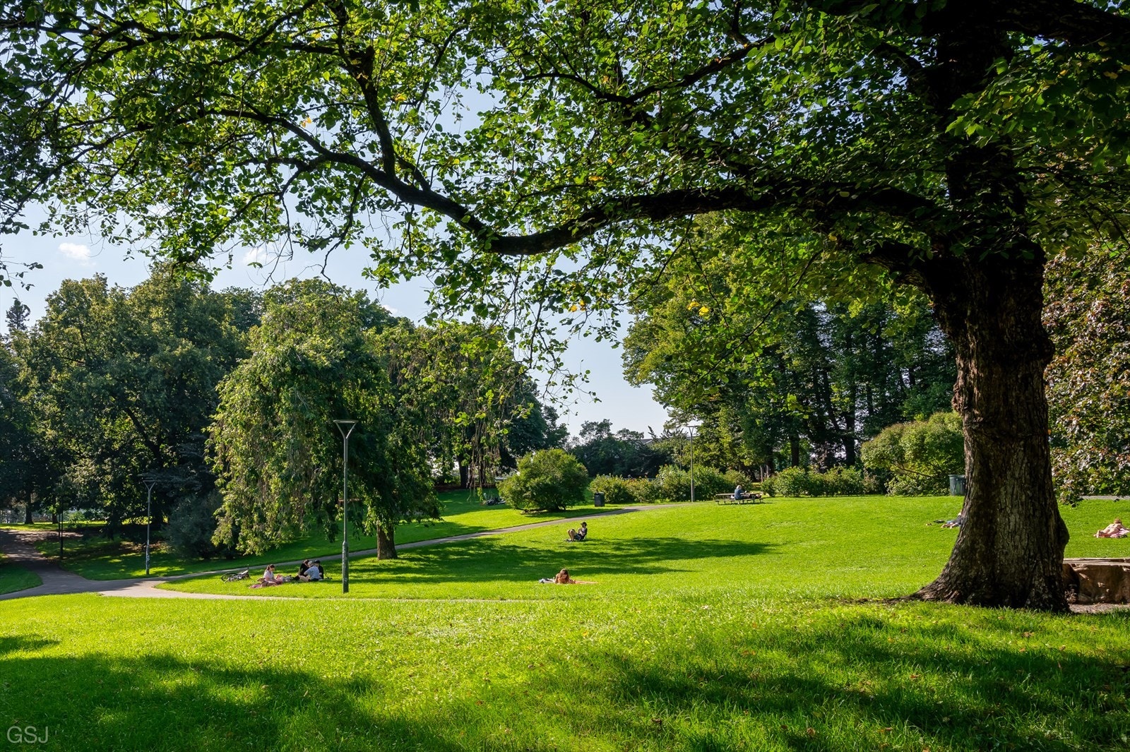 Nærliggende parker som Bjølsenparken og Bjølsendumpa. Galleribilde