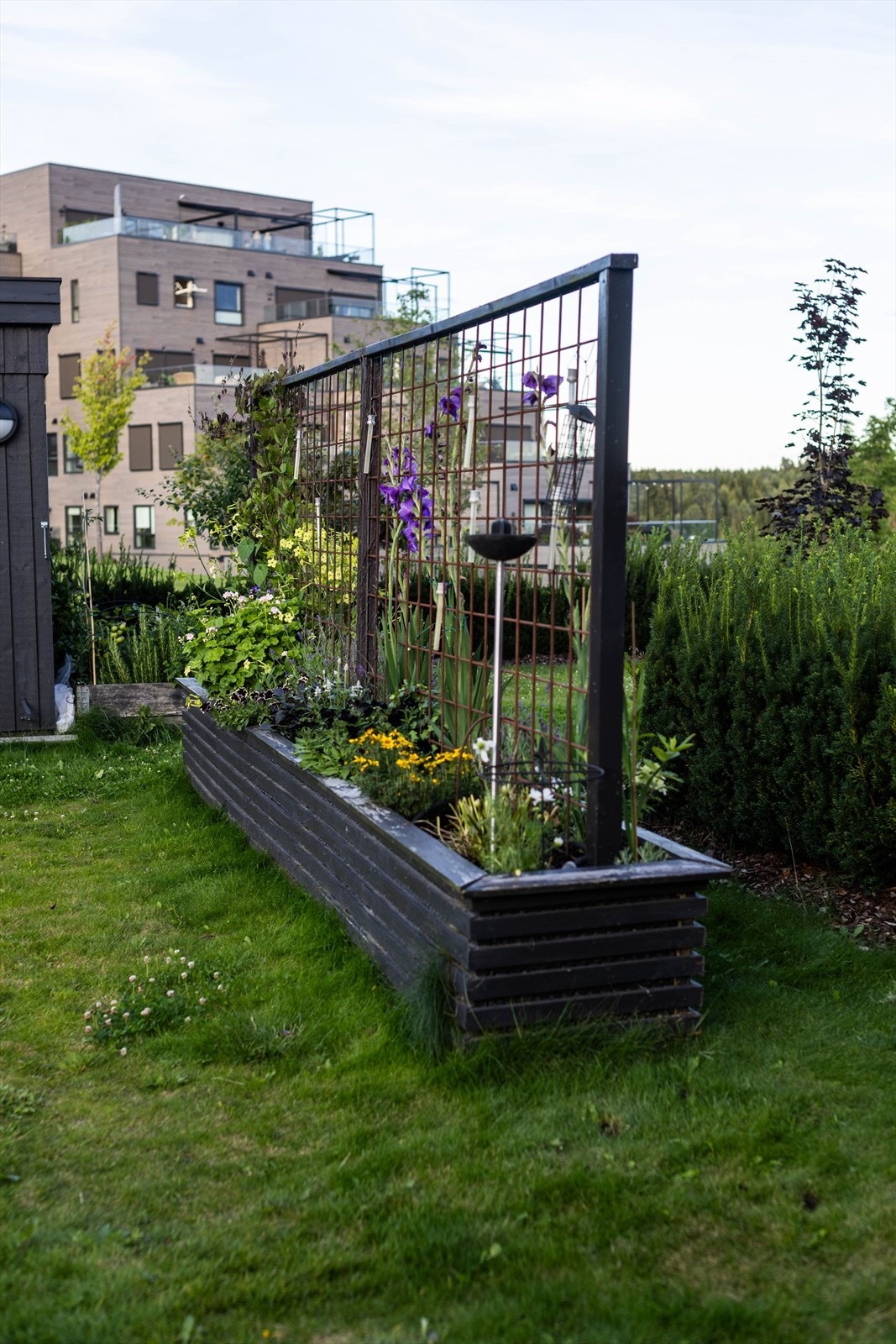 Selgers egne bilder. Galleribilde