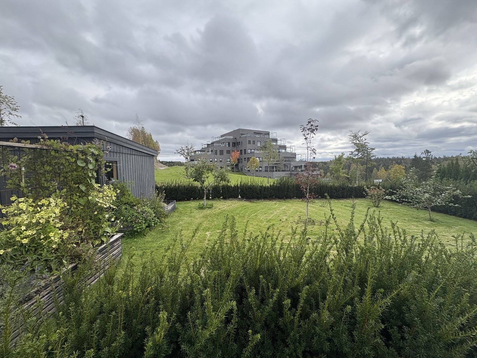 Selgers egne bilder. Hagen er pent opparbeidet med plen, hekker og diverse beplantning. Galleribilde